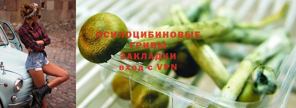 винт Алексеевка