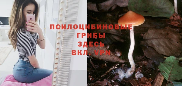 винт Алексеевка
