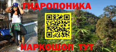 прущие грибы Балаково