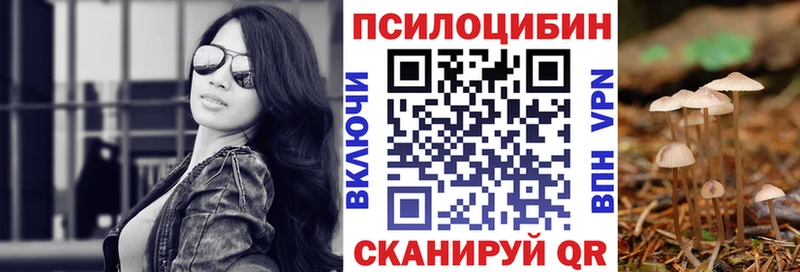 MEGA tor  Балабаново  Галлюциногенные грибы мицелий 