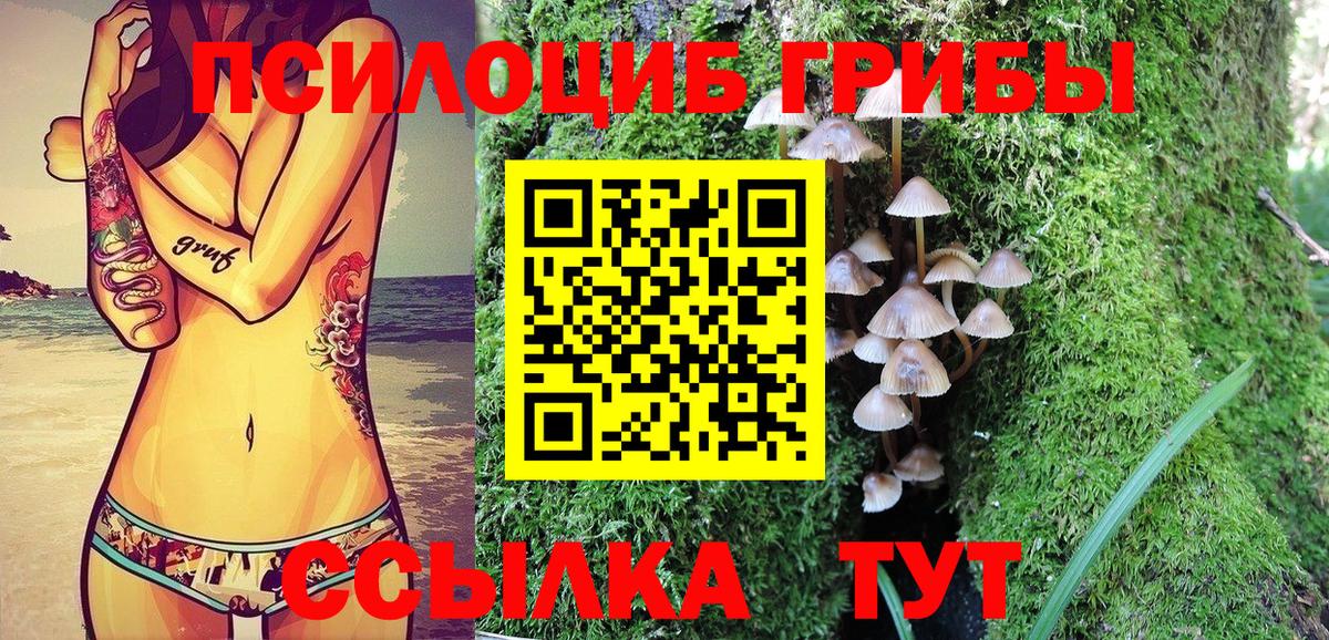 Псилоцибиновые грибы Cubensis  Вход с VPN  Балабаново 