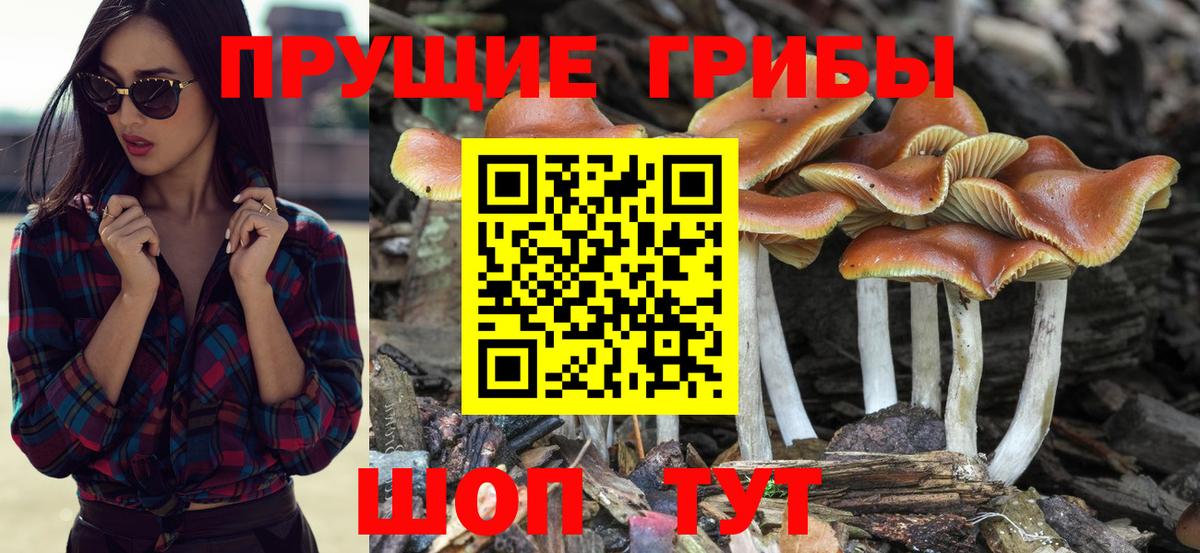 Псилоцибиновые грибы Magic Shrooms Балабаново